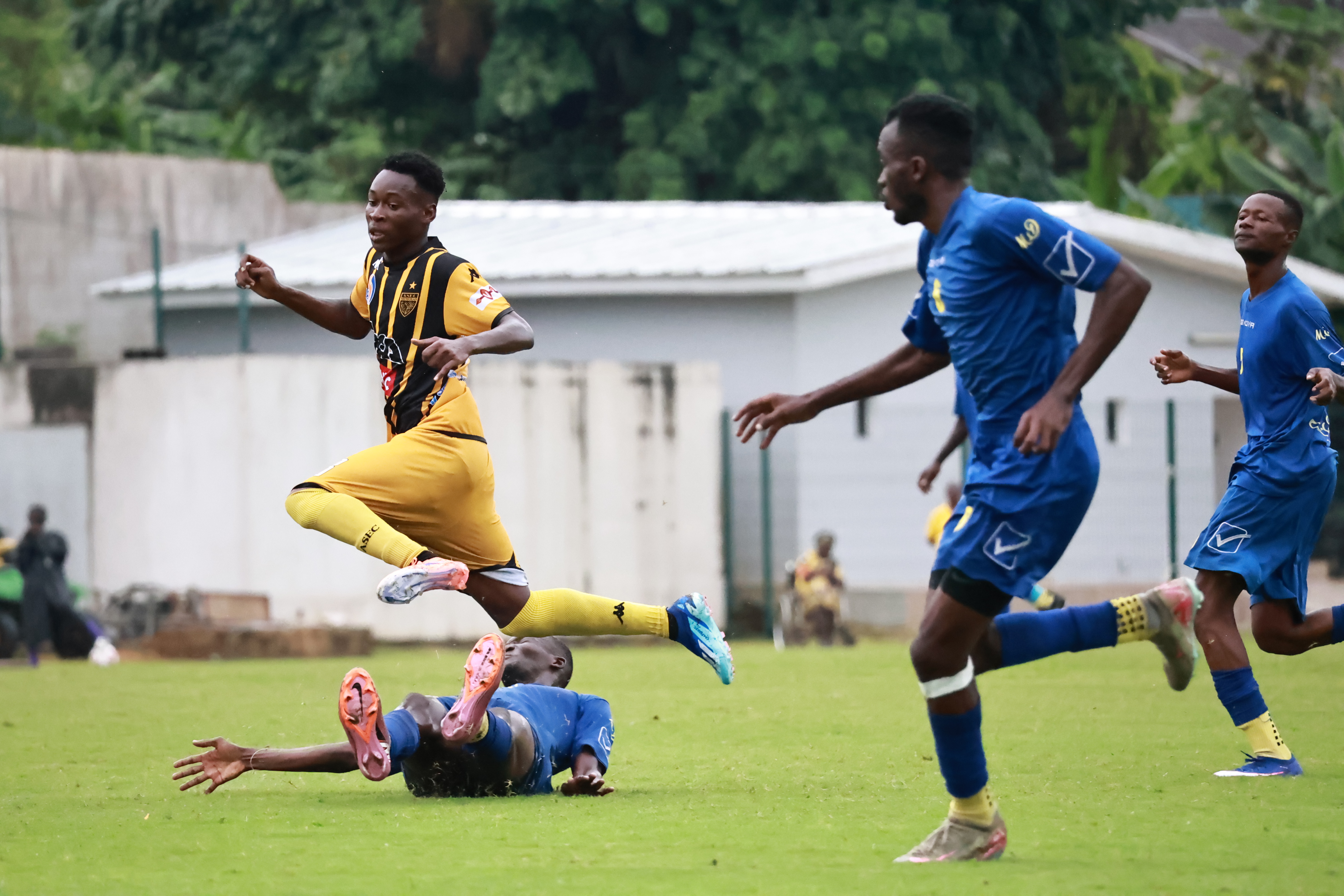 Éditorial : Entre lumière internationale et exigences locale